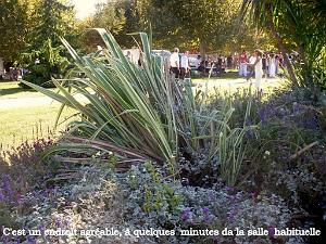 marignane - associations- 15.09.2012 067